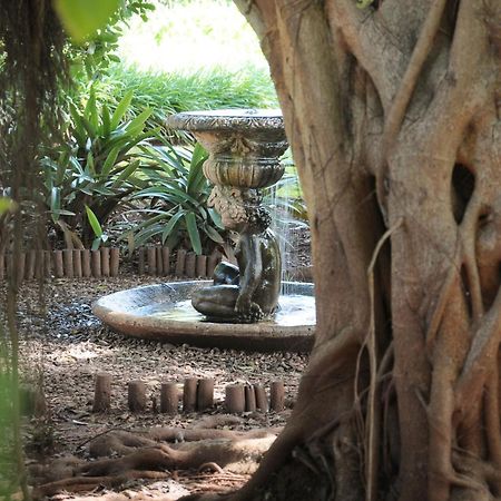 Mount Azimbo Lodge Louis Trichardt Exterior foto