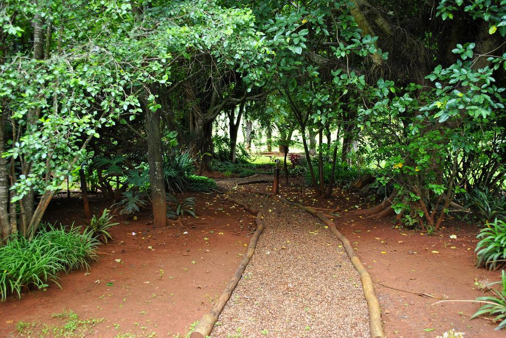Mount Azimbo Lodge Louis Trichardt Exterior foto